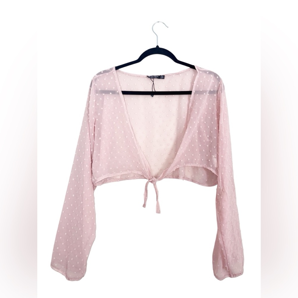 Nasty Gal Pink Sheer Tie Blouse